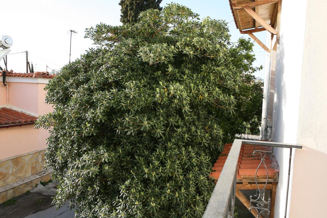 Apartament Litsa'S House Nauplion Zewnętrze zdjęcie